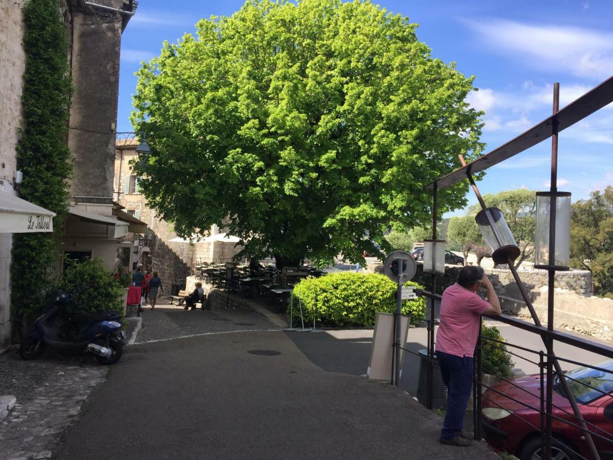 Villa L'élégante Saint-Paul-de-Vence Esterno foto